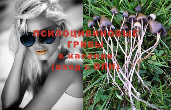 PSILOCYBIN Надым
