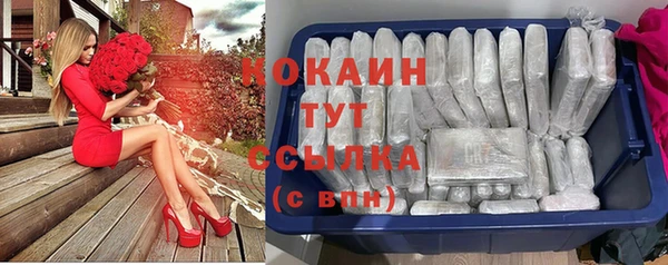 мяу мяу мука Михайловск