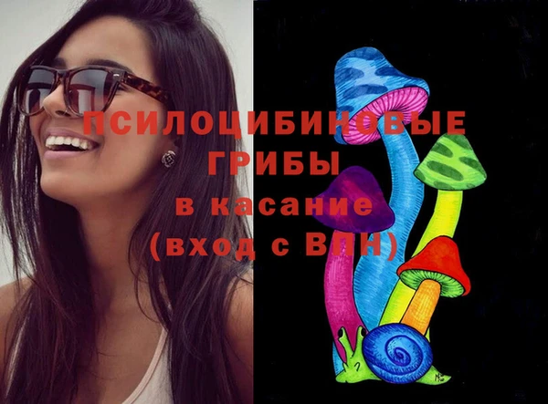 мяу мяу мука Михайловск