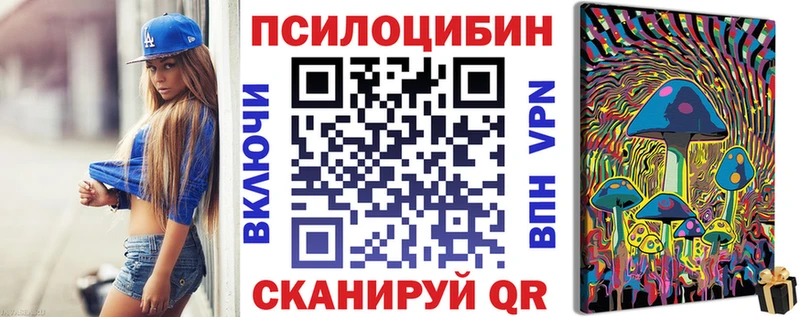 Псилоцибиновые грибы Psilocybe  сайты даркнета Telegram  Ноябрьск  что такое  