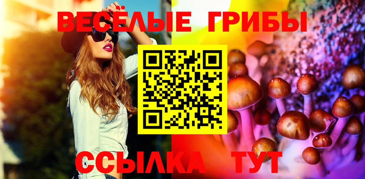 где купить наркоту  Вход с VPN  Галлюциногенные грибы Cubensis  Ноябрьск  Псилоцибиновые грибы прущие грибы 